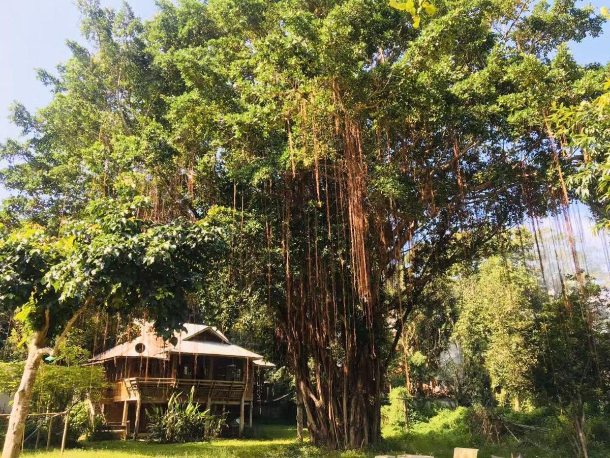 Golden Hut -Chill Bungalows In Town黄金泰式传统独栋小屋 Pai Eksteriør billede